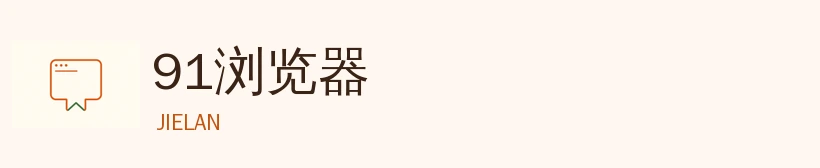 91app标识